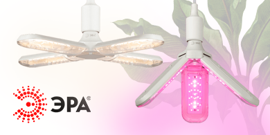 Лепестковые фитолампы ЭРА со светло-розовым и кремовым свечением
