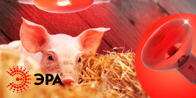 ИК-лампа ЭРА для животных с улучшенной безопасностью