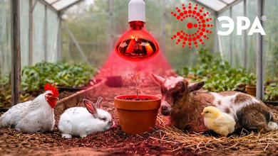 ЭРА представила новую линейку светильников для работы с обогревающими лампами