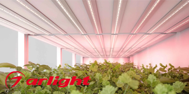 Светодиодная лента FITOLUX от ARLIGHT – инновационный подход к садоводству 