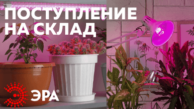 Новинка на складе: фитосветильники и фитолампы ЭРА для эффективного роста растений