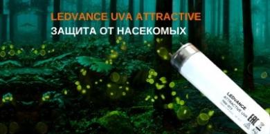 Лампы для ловушек от насекомых Ledvance UVA ATTRACTIVE