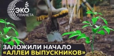 «Планета Электрика» приняла участие в программе «Эко-Планета»