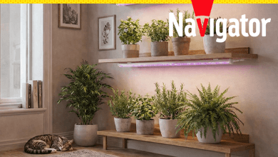 Растения растут быстрее: новая серия фитосветильников Navigator NEL-FITO