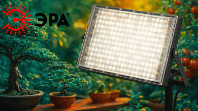 ЭРА представляет новый фитопрожектор полного спектра для круглогодичного выращивания растений