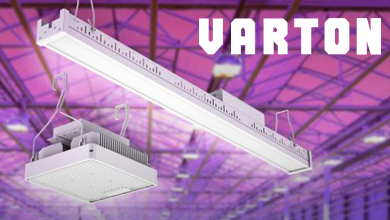 VARTON представляет серию светильников AGRIS для нового уровня освещения в агропроме
