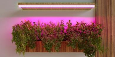 Светодиодные светильники для растений от Elektrostandard
