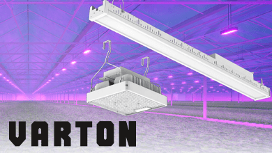 Новинка от VARTON – фитосветильники AGRIS PhytoPROF с высокой эффективностью до 3,6 μmol/W