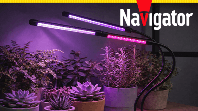 Navigator представил новую серию светодиодных фитосветильников NDF-FITO для домашнего выращивания растений