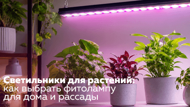 Светильники для растений: как выбрать фитолампу для дома и рассады