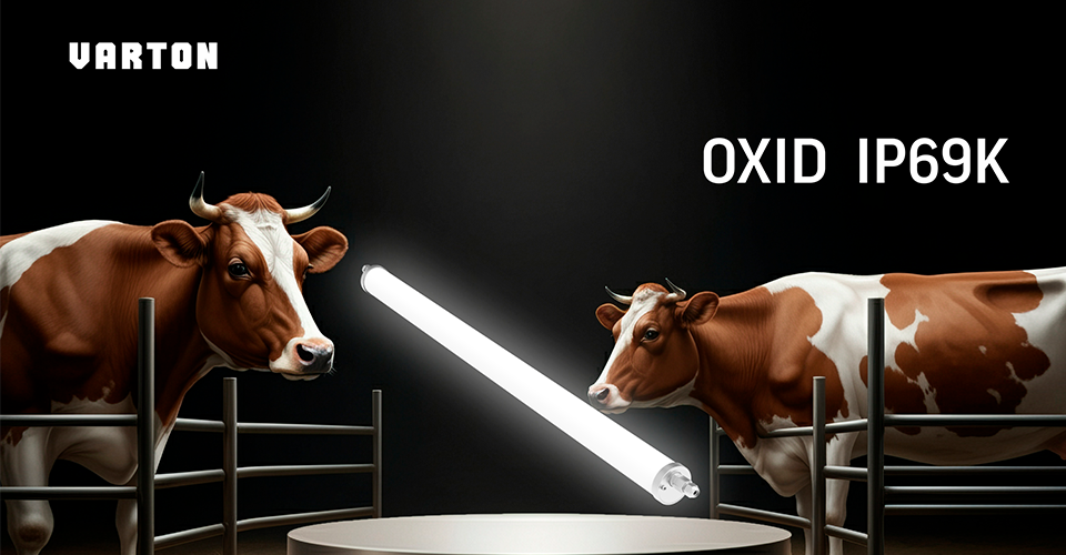 Светильники OXID IP69K от Varton: оптимальный выбор для сложных и агрессивных сред Светильники OXID IP69K от Varton: оптимальный выбор для сложных и агрессивных сред