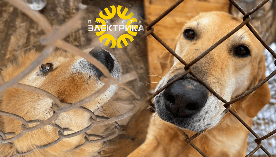 Сделали свет, дали тепло: Планета Электрика помогла приюту Верность