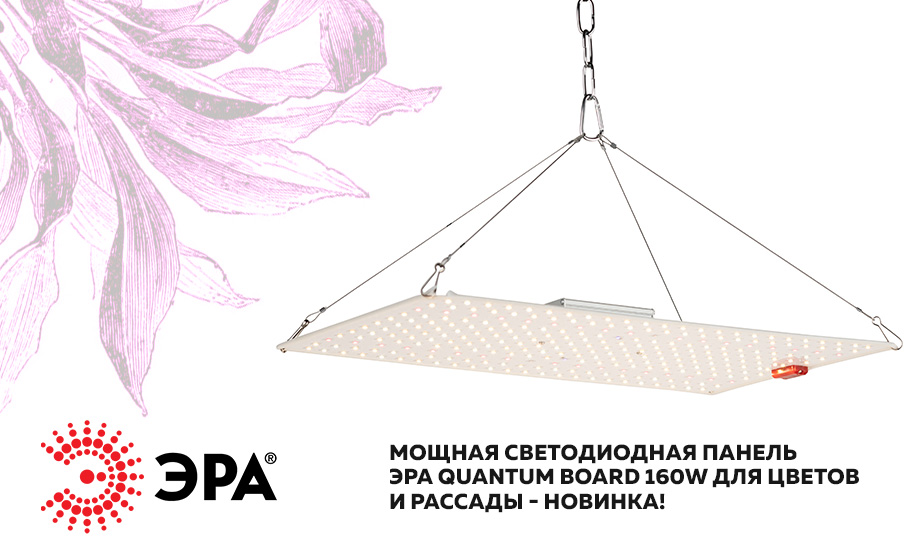 Мощная светодиодная панель ЭРА Quantum Board 160W для цветов и рассады - новинка! Мощная светодиодная панель ЭРА Quantum Board 160W для цветов и рассады - новинка!