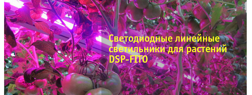 светодиодные фитолампы от Navigator