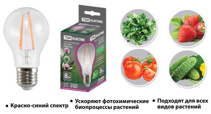 Светодиодные лампы серии «Фито» А60 от TDM ELECTRIC Светодиодные лампы серии «Фито» А60 от TDM ELECTRIC