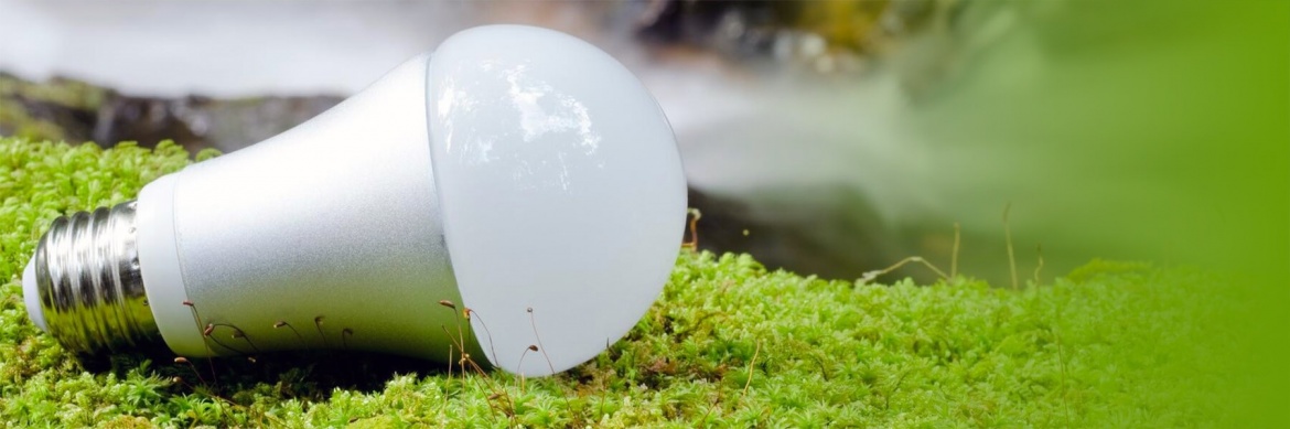 Светодиодные – самые безопасные для окружающей среды лампы