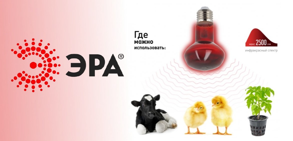 Лампа для обогрева животных ИКЗК 230-60 R63 от ЭРА Лампа для обогрева животных ИКЗК 230-60 R63 от ЭРА
