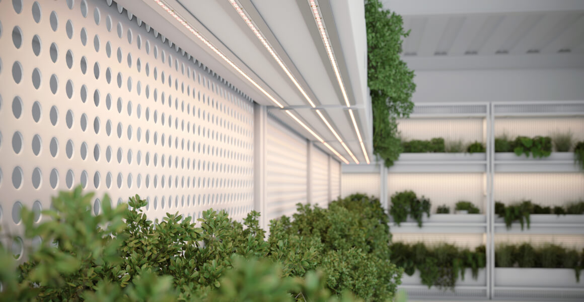 Светодиодная фитолента FITOLUX-SE-A144 от Arlight Светодиодная фитолента FITOLUX-SE-A144 от Arlight
