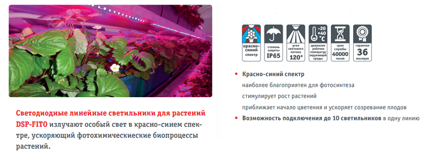 фитолампы Navigator DSP-FITO