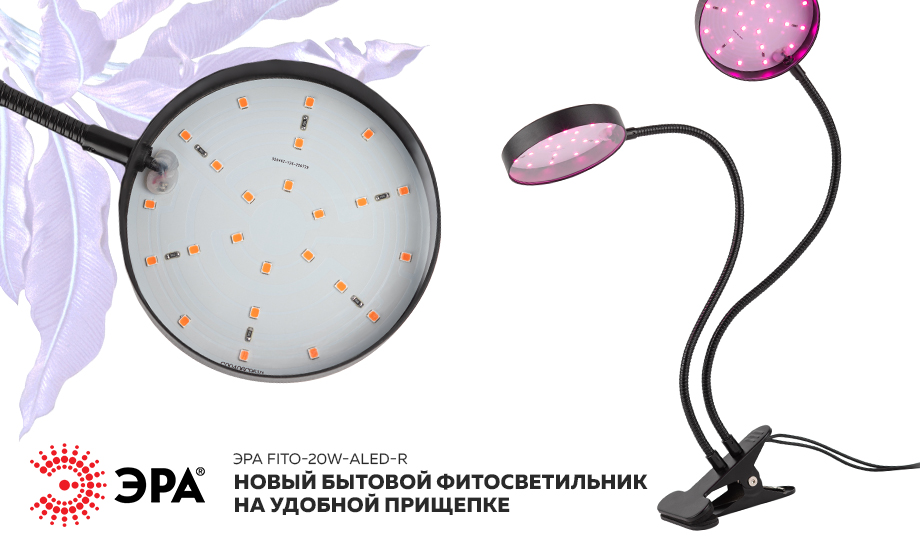 новость ЭРА FITO-20W-АLED-R.jpg