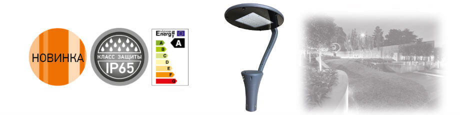 PGL 01 JAZZWAY PGL 01 JAZZWAY
