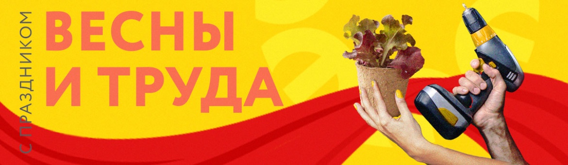1200_350_картинка в новость_2024.jpg 1200_350_картинка в новость_2024.jpg