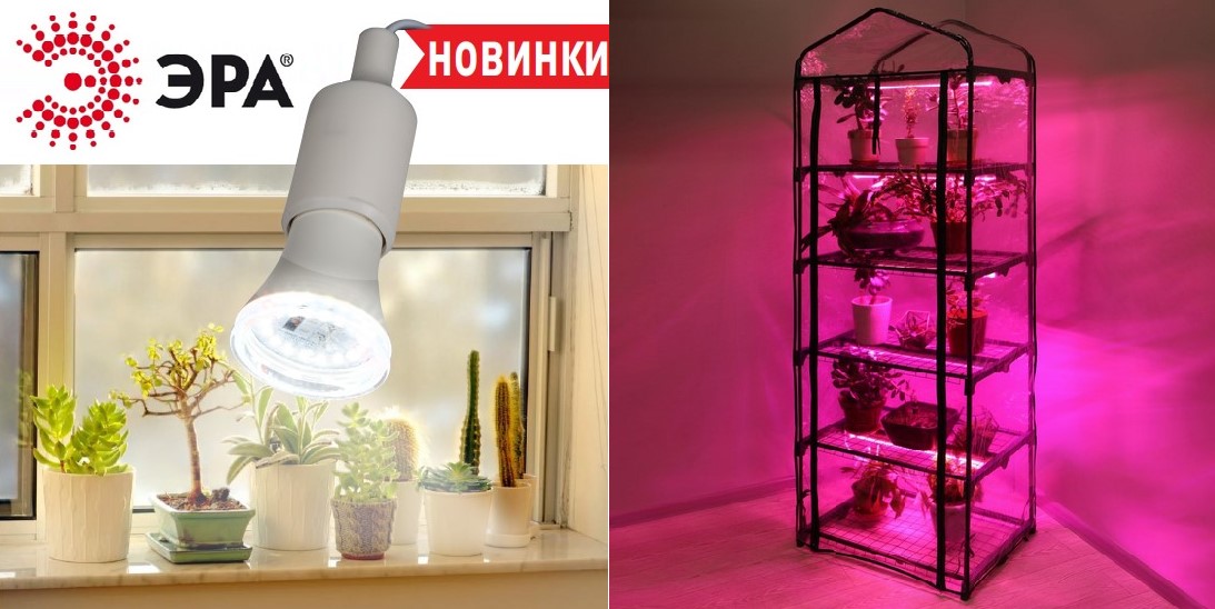 FITO-Holder E27 и FITO-House-5 от ЭРА