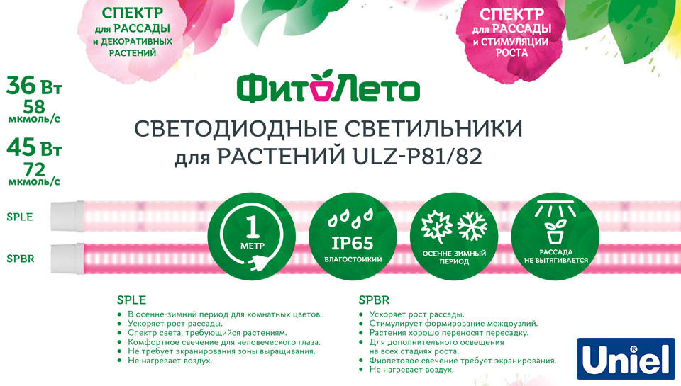 Новые фитосветильники ULZ-P81 и ULZ-P82 от Uniel: идеальное освещение растений круглый год Новость Новые фитосветильники ULZ-P81 и ULZ-P82 от Uniel итог.png
