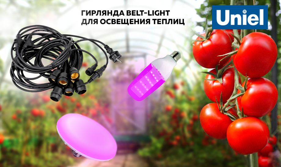 Гирлянда BELT-LIGHT для освещения теплиц UNIEL Гирлянда BELT-LIGHT для освещения теплиц UNIEL