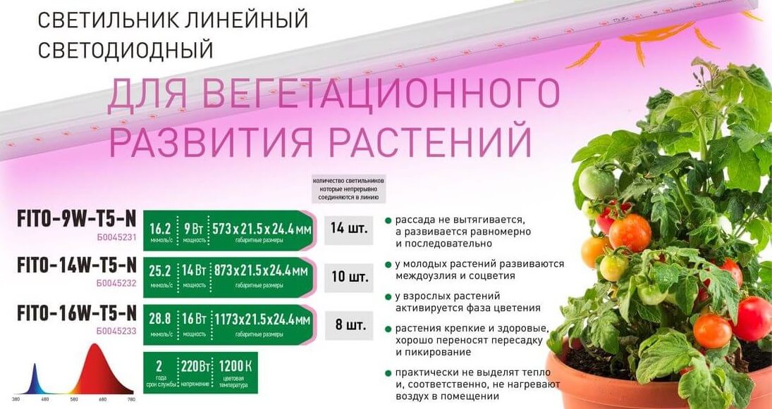 Линейные фитосветильники T5-N от ЭРА Линейные фитосветильники T5-N от ЭРА