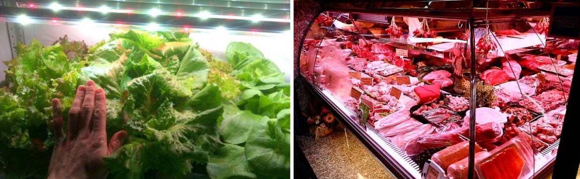 Фитосветильники от ЭРА для освещения продуктовых отделов Фитосвет от ЭРА для освещения продуктовых отделов