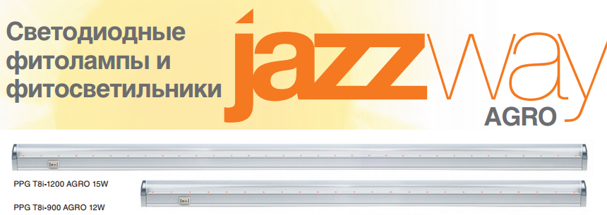 Фитолампы JAZZWAYAGRO