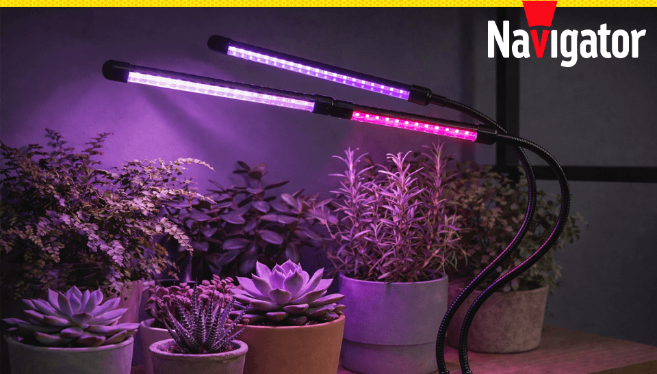 Navigator представил новую серию светодиодных фитосветильников NDF-FITO для домашнего выращивания растений