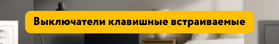 Выключатели клавишные встраиваемые.jpg Выключатели клавишные встраиваемые.jpg